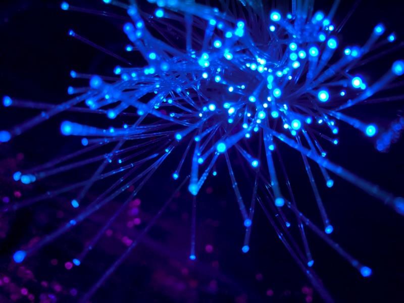 L'intelligenza artificiale è uno strumento, non un avversario lavorativo